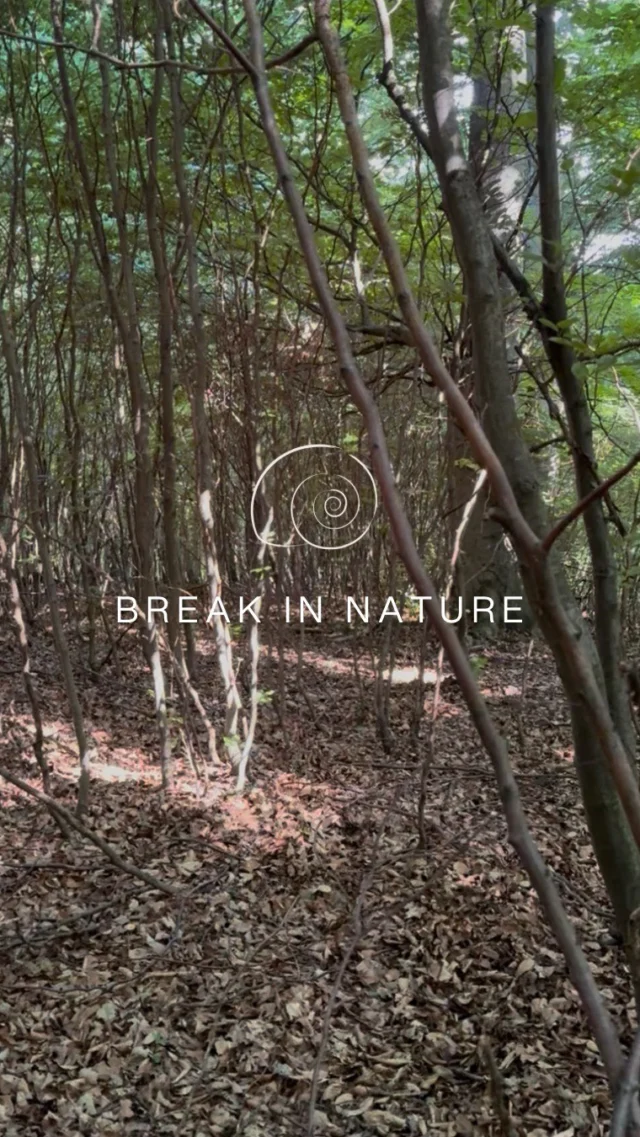 🌳🌲Im Wald kann sich die Seele erinnern, wie Frieden klingt. 🕊️

#sabinakillianschmid #slowyourmind #innereruhe #frieden #burnouts #burnoutprävention #burnoutcoach #wien