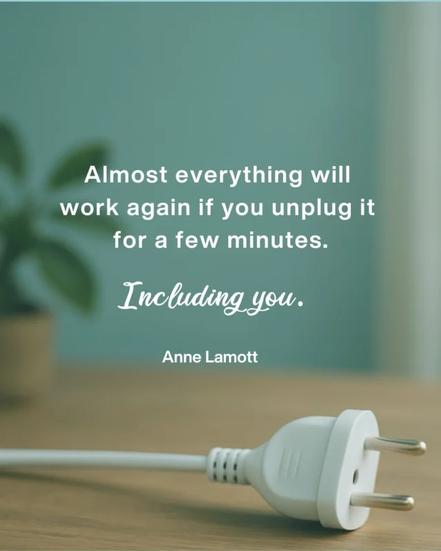 ⏸ Zieh auch manchmal den Stecker. 🙃

#SabinaKillianSchmid #slowyourmind #BurnoutCoaching #BurnoutPraxis #BurnoutVorsorge #Wien