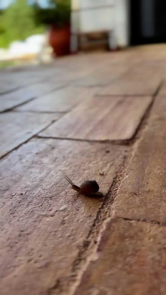 Instagram post 17905024911245201